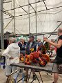 afbeelding 15